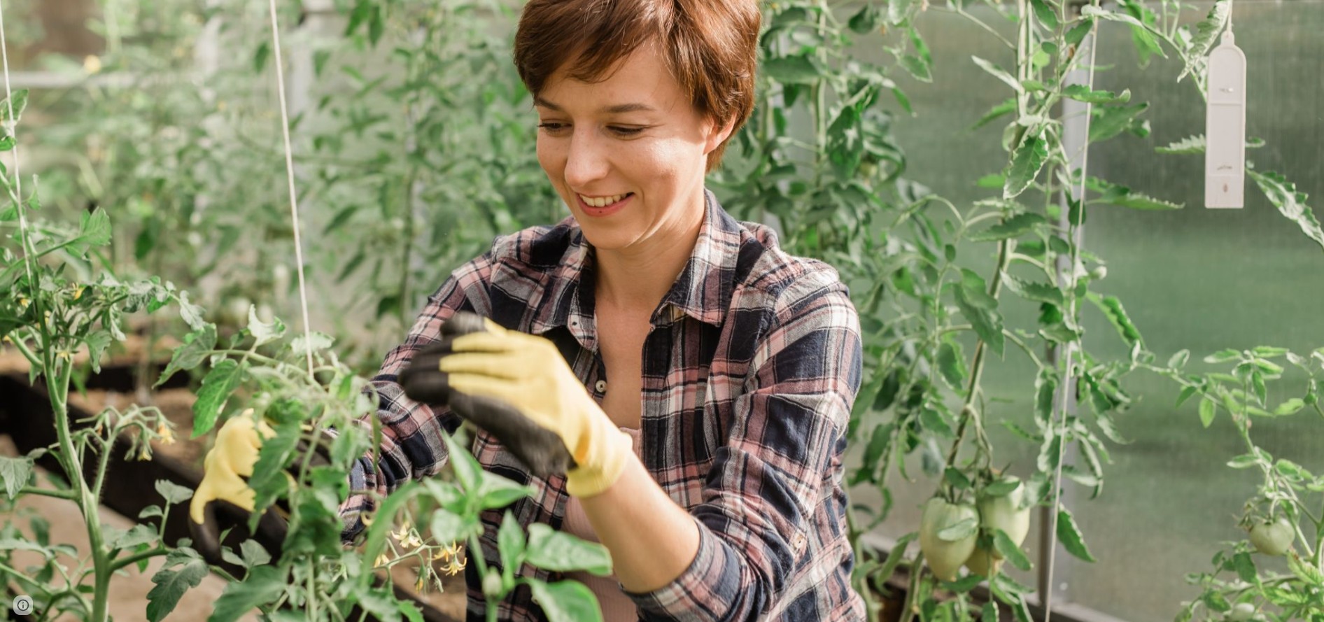 Jornada técnica: IV Jornadas de Agroecología Seguridad alimentaria y sostenibilidad