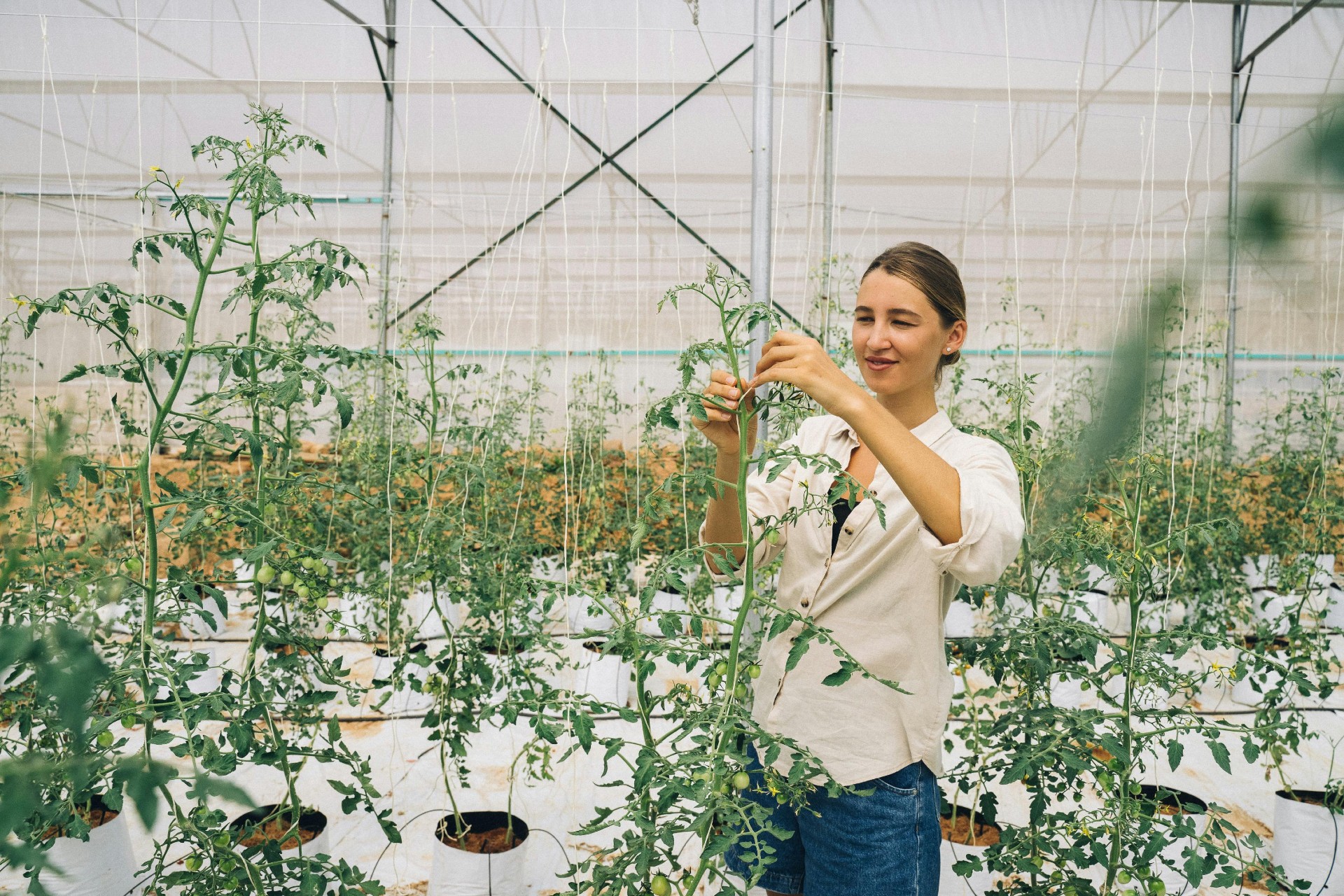 Ayudas 2026 al establecimiento de personas jóvenes agricultoras