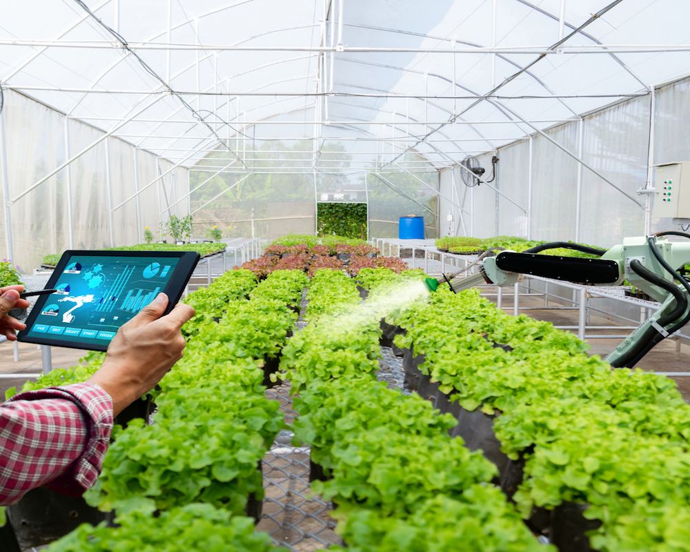 WEBINAR: Robótica aplicada a una agricultura sostenible y de precisión