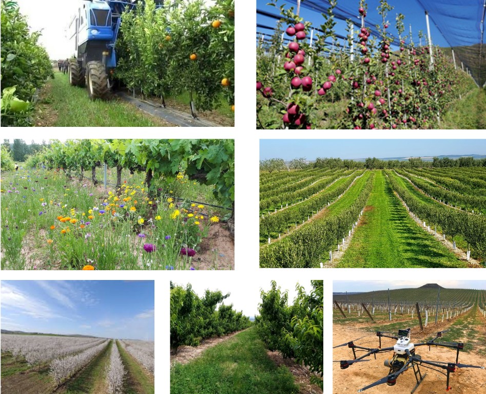 V Jornadas de Agroecología: Innovación y tecnología aplicada a la fruticultura ecológica