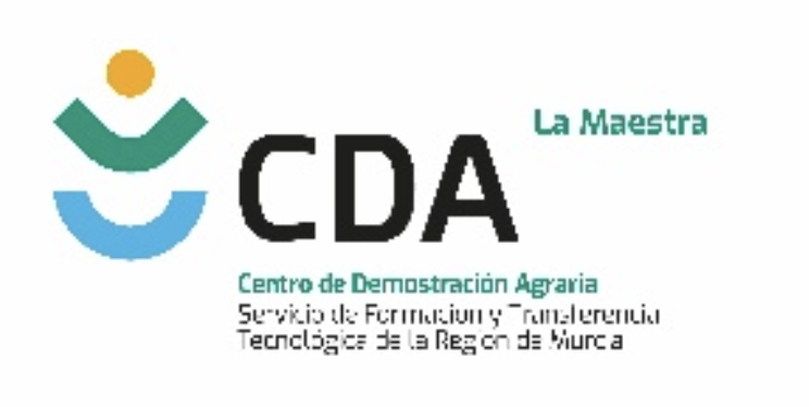 Logo CDA MAESTRA